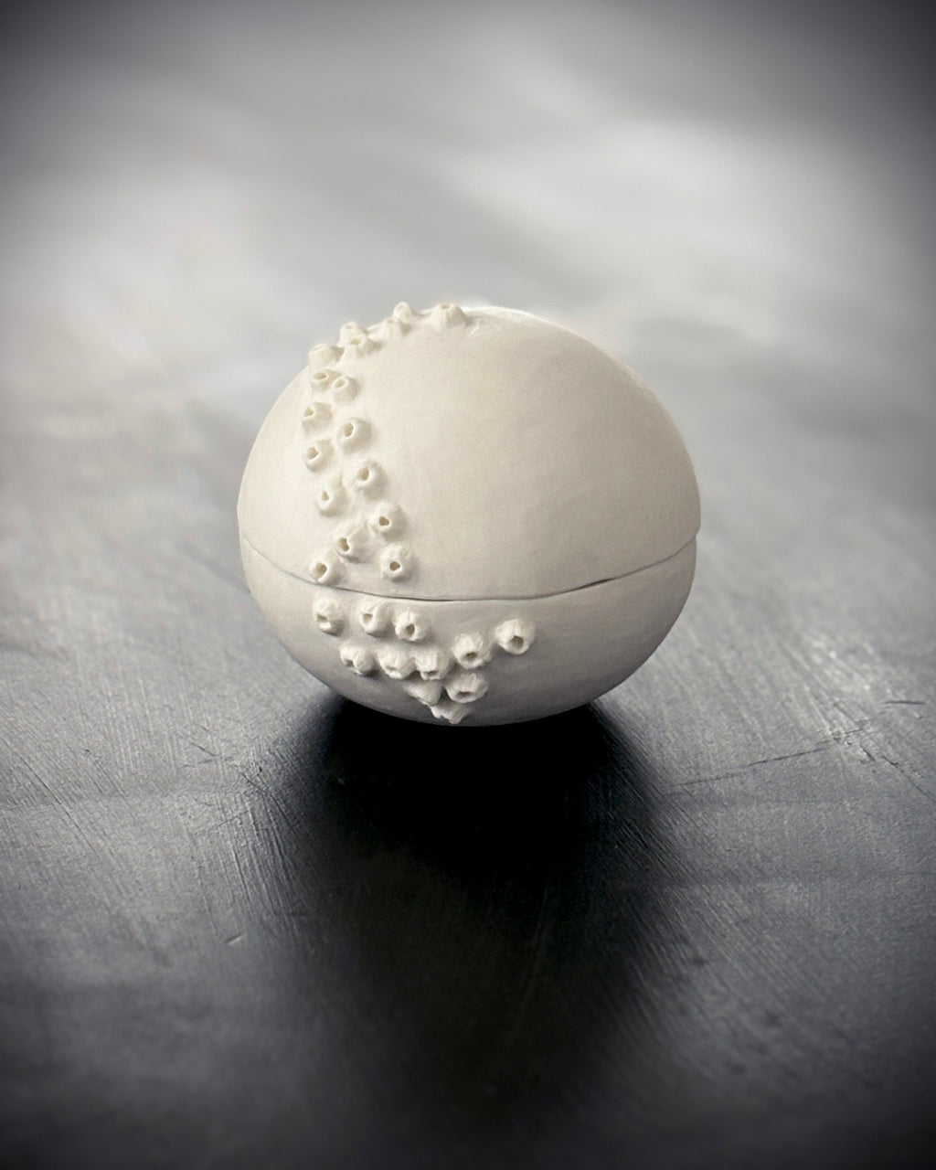 Ask, Havstulpaner nr 1