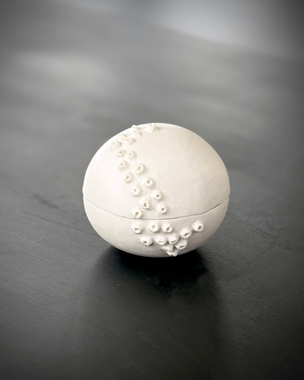 Ask, Havstulpaner nr 1