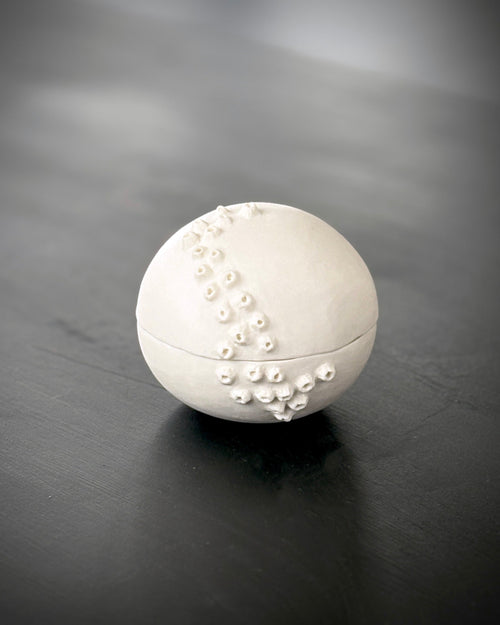 Ask, Havstulpaner nr 1