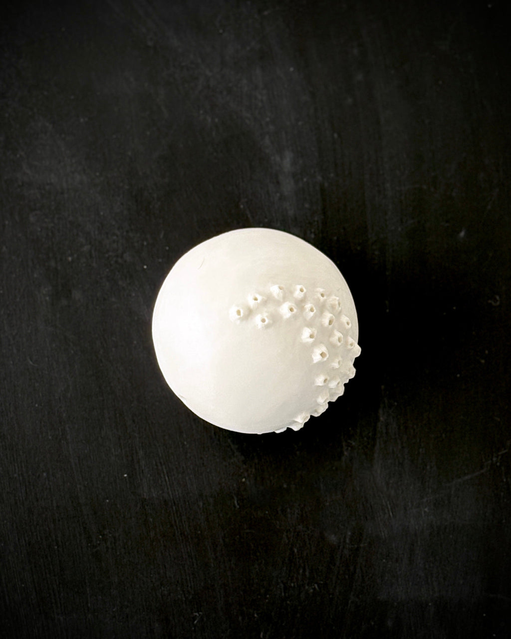 Ask, Havstulpaner nr 2