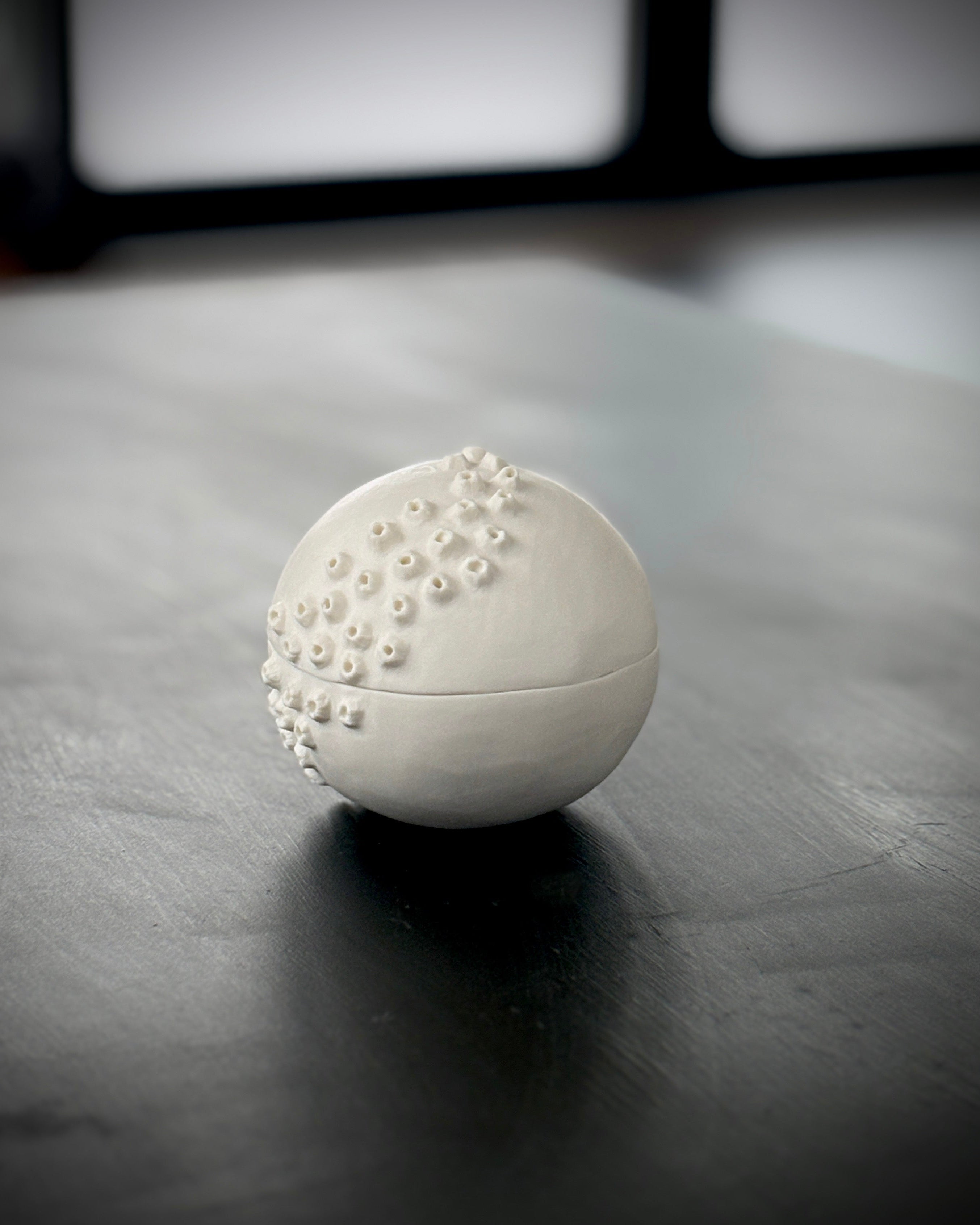 Ask, Havstulpaner nr 2