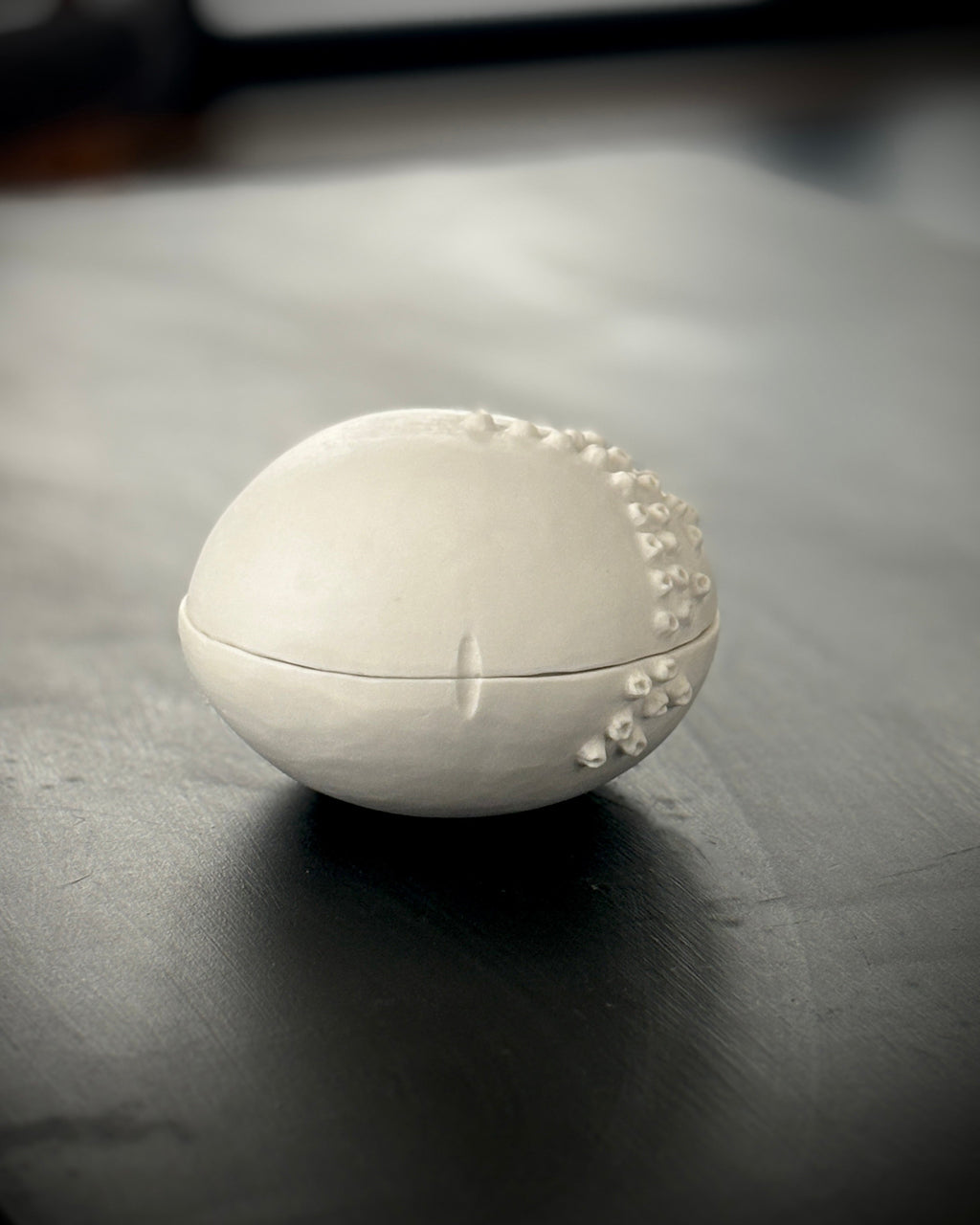 Ask, Havstulpaner nr 3