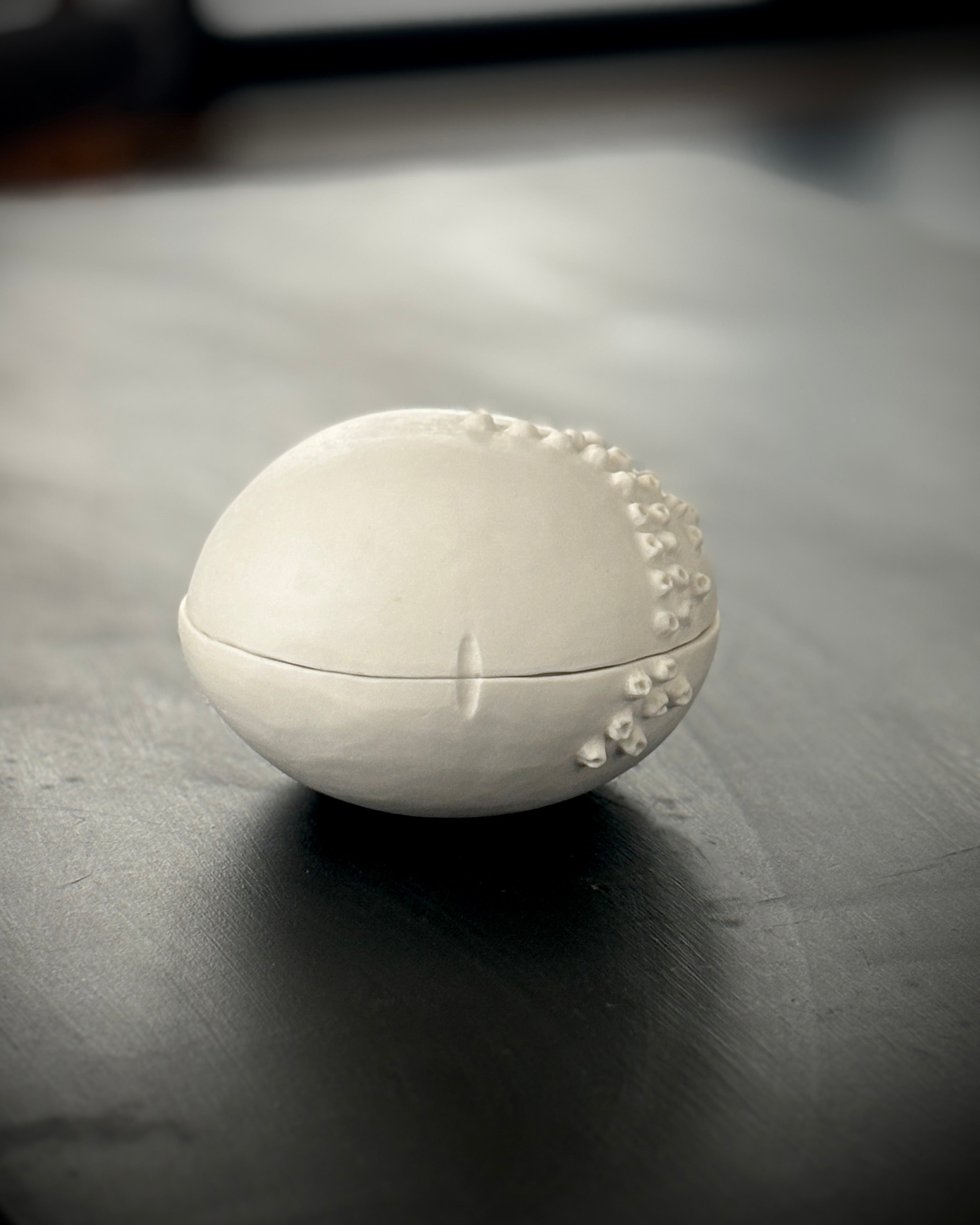 Ask, Havstulpaner nr 3