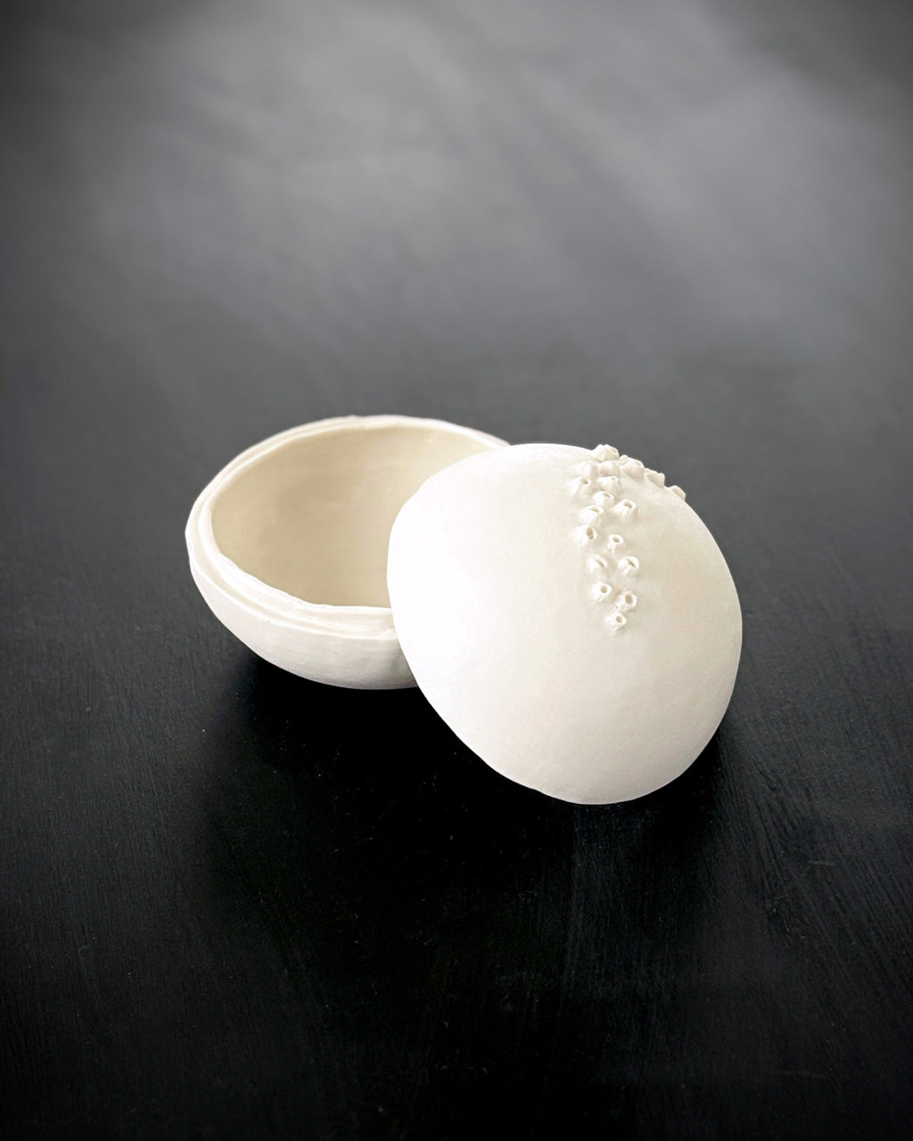 Ask, Havstulpaner nr 4