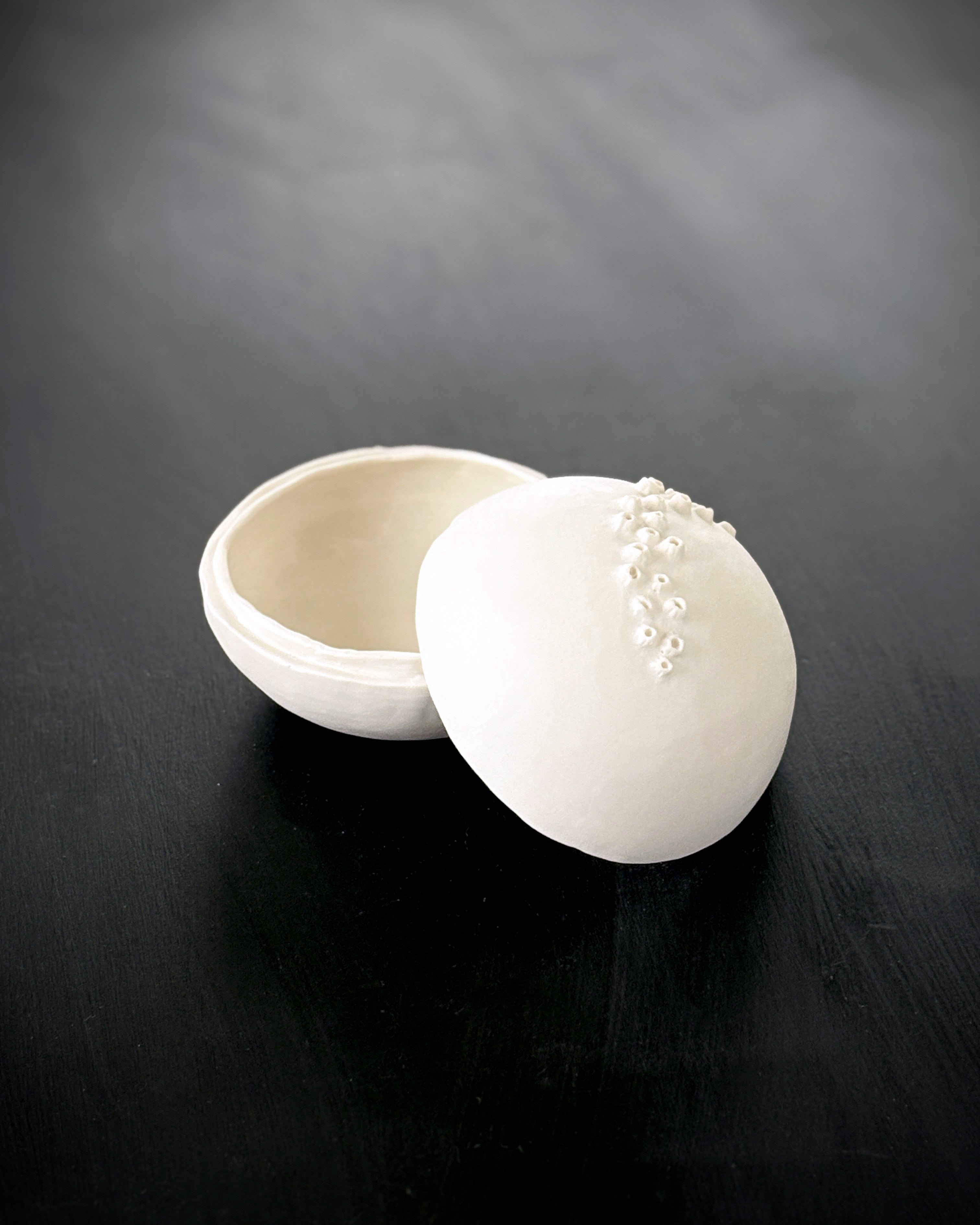 Ask, Havstulpaner nr 4