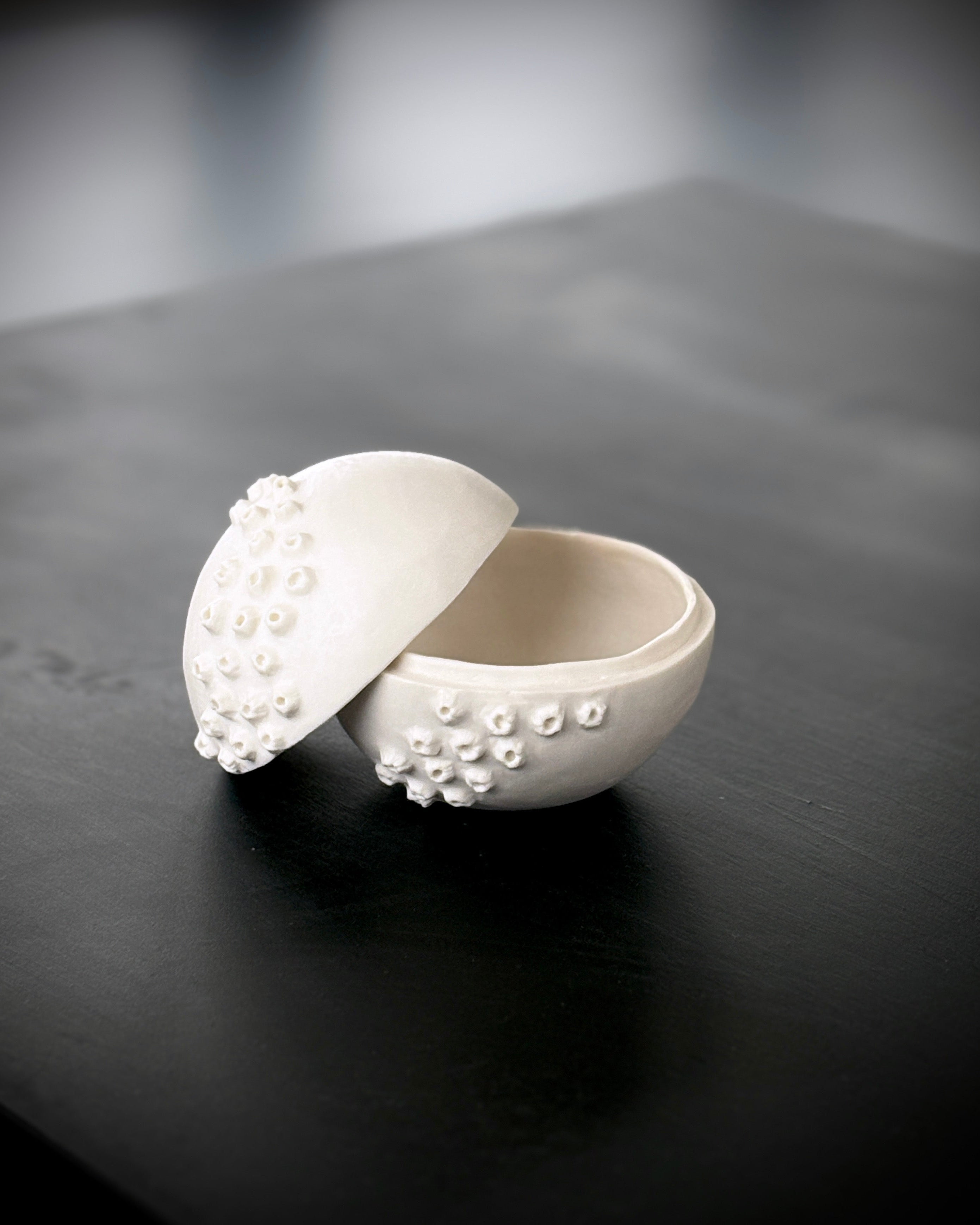 Ask, Havstulpaner nr 2