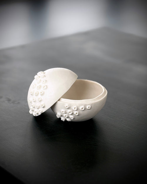 Ask, Havstulpaner nr 2