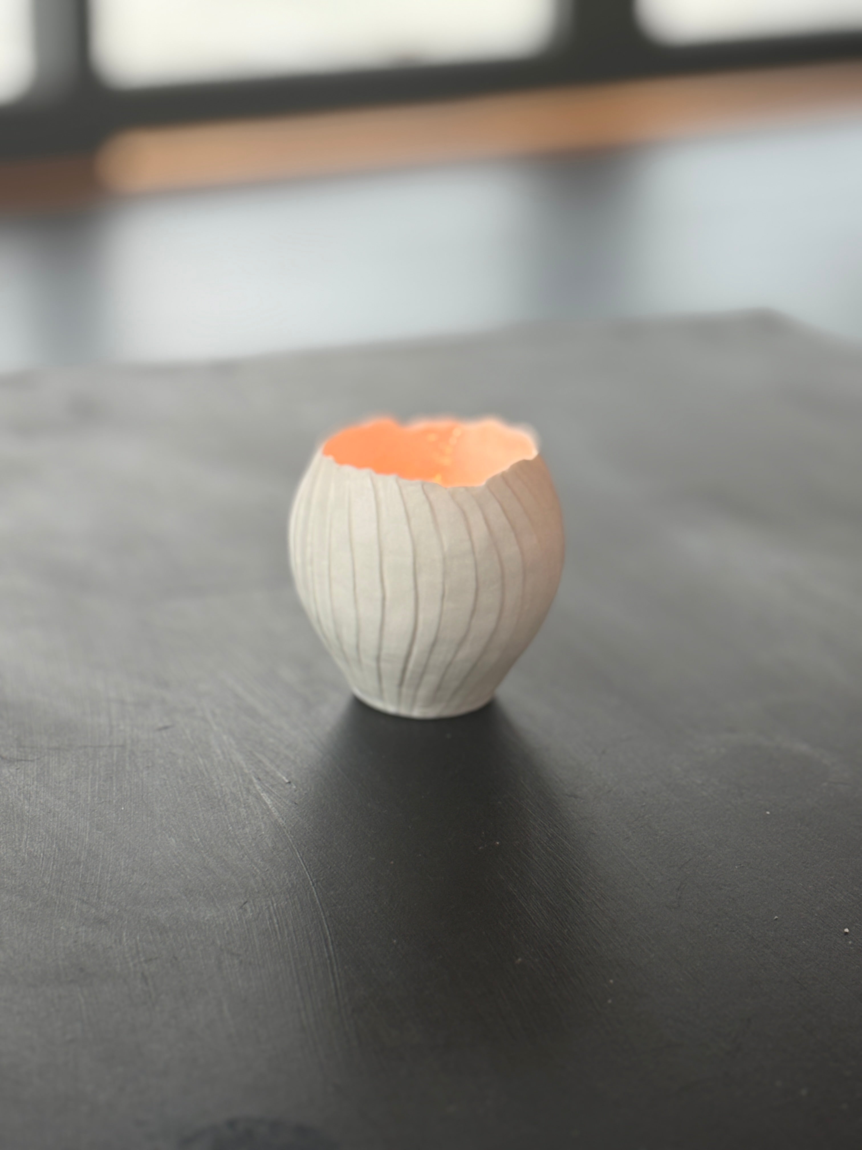 Ljuslykta Anemon 13